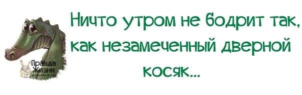 Ничто так не бодрит с утра как незамеченный дверной косяк картинки